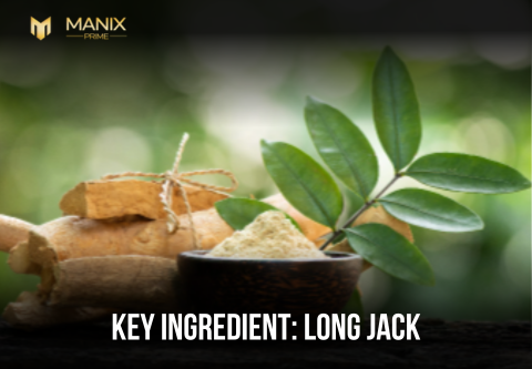 Long Jack: The Natural Testosterone Catalyst Behind Manix Prime