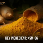 KSM-66® Ashwagandha: The Stress-Shielded Powerhouse for Endurance and Balance