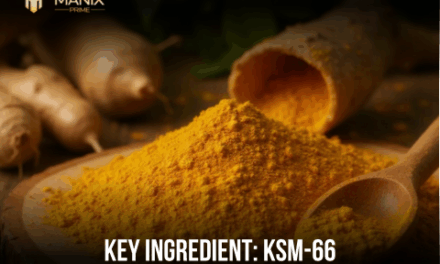 KSM-66® Ashwagandha: The Stress-Shielded Powerhouse for Endurance and Balance