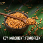 Fenugreek: The Metabolic Multiplier for Strength, Libido, and Hormone Balance
