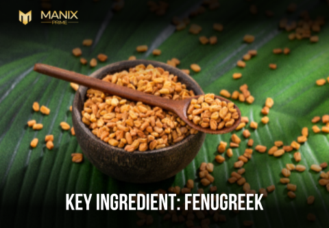 Fenugreek: The Metabolic Multiplier for Strength, Libido, and Hormone Balance