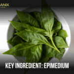 Epimedium: The Ancient Herb That Ignites Desire and Endurance