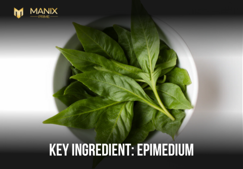 Epimedium: The Ancient Herb That Ignites Desire and Endurance